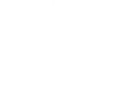 Digital Iphones